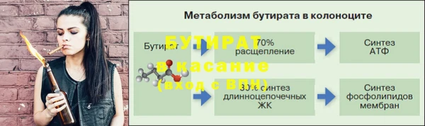 индика Верея